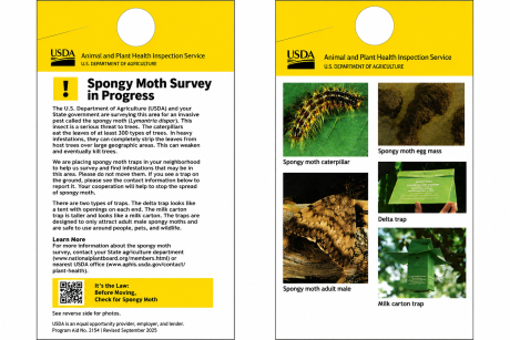 USDA Spongy Moth Survey door hanger